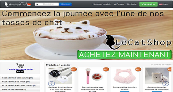 Montréal website design and hosting